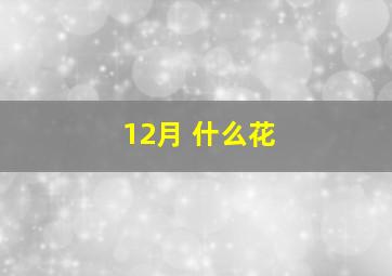 12月 什么花